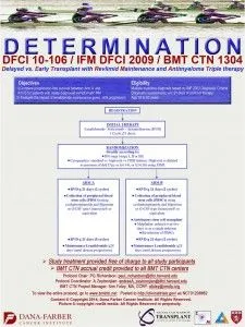 Determination