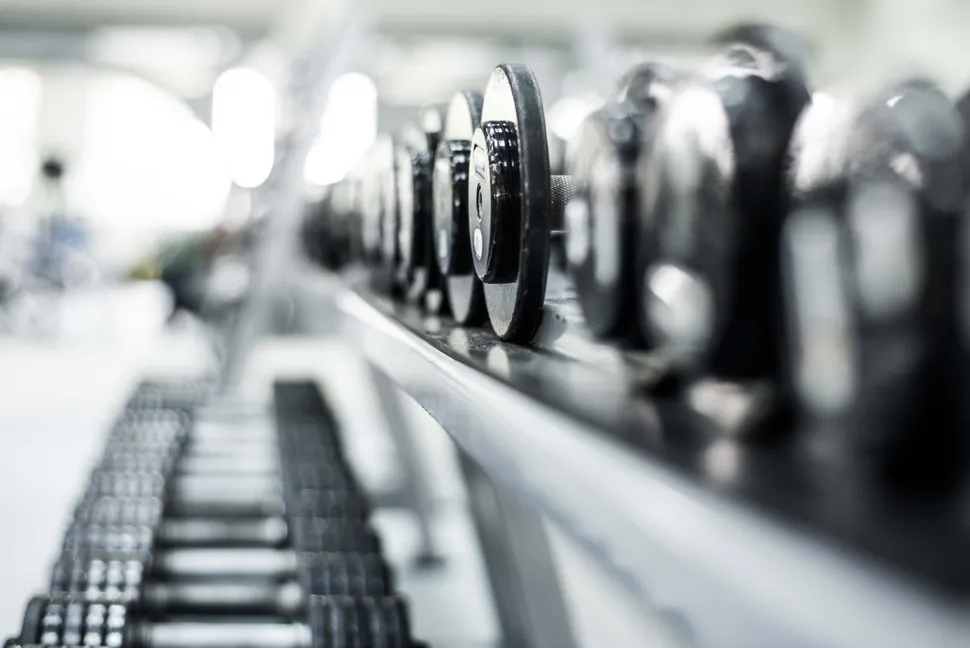 Pumping Iron: Getting it Out of the Cells and Into the Bloodstream Could Help Myeloma Patients image