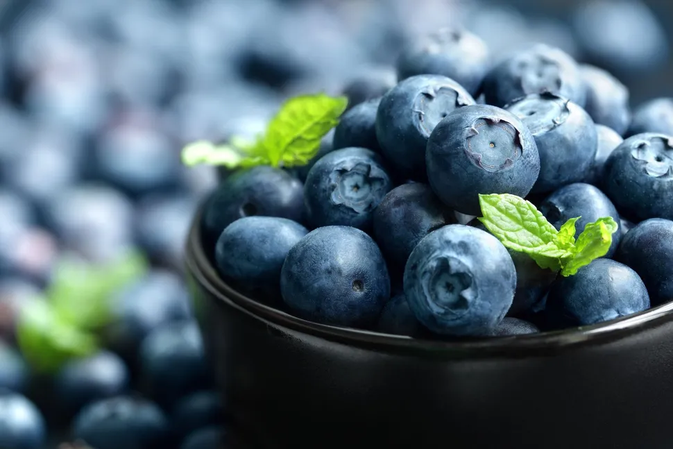 Research on Diet and Myeloma (Part 2) image