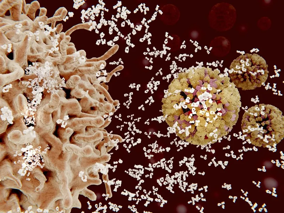 Sugar's Smoke Screen and Cancer Cell Immunity image