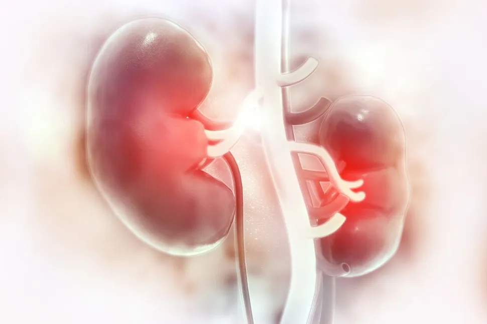 Living Long-Term With Myeloma - Part 2: Renal Function image