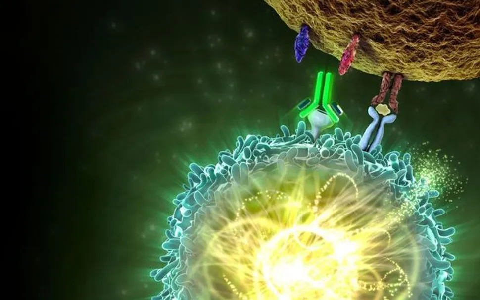 FDA Places Keytruda Multiple Myeloma Studies on Hold image