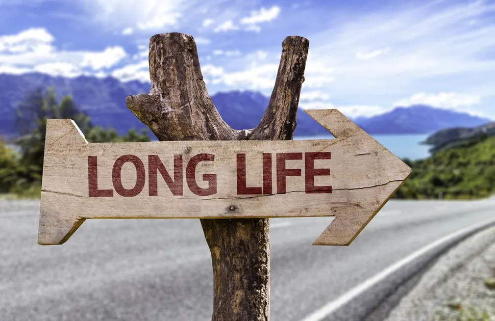 Multiple Myeloma 2017 Update - Why Do People Beat the Average Myeloma Life Expectancy Prognosis?  Or How To Improve Your Multiple Myeloma Survival Rate! image