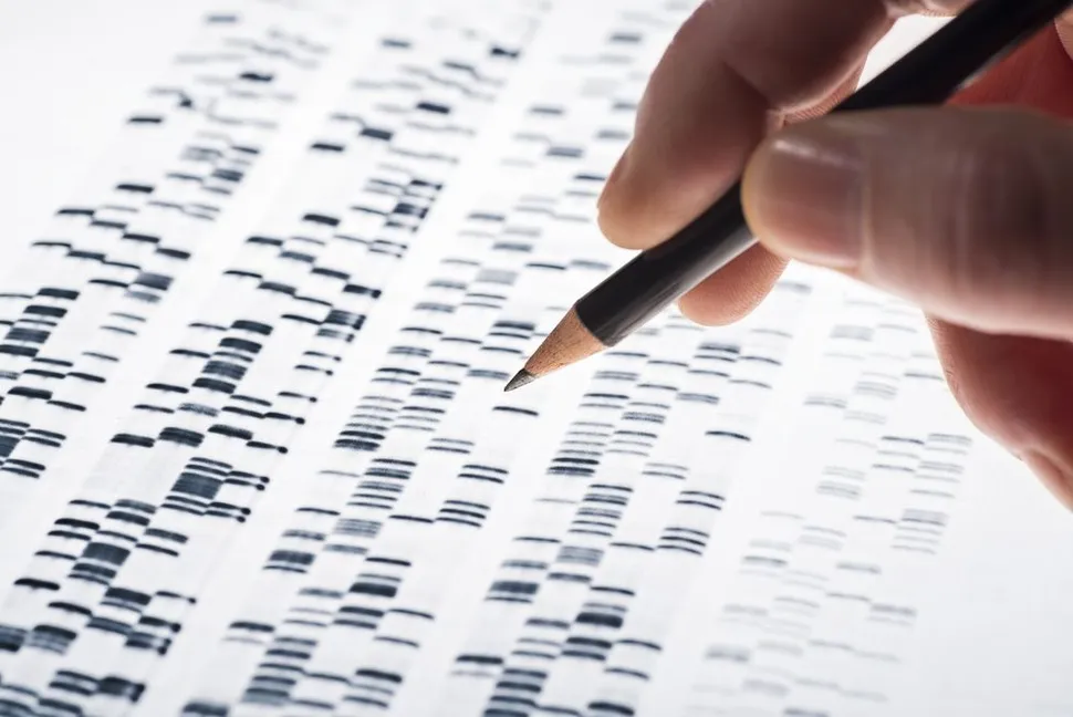 Family Genetic Mutations Linked to Multiple Myeloma Risk image