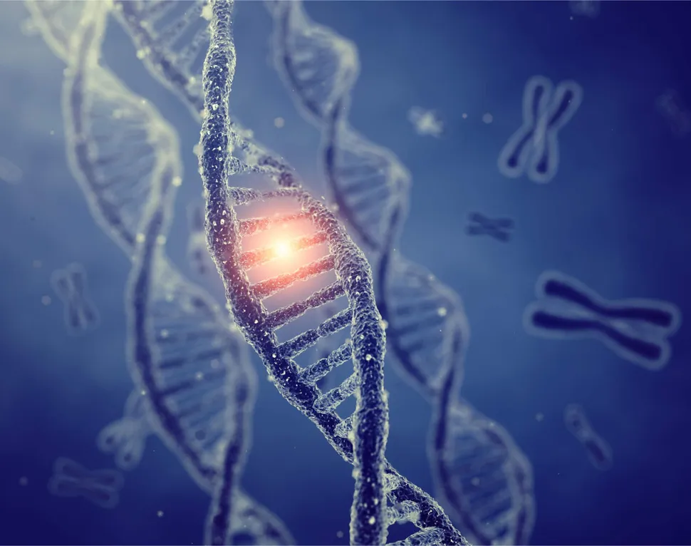 What is a FISH Test for Multiple Myeloma?  image