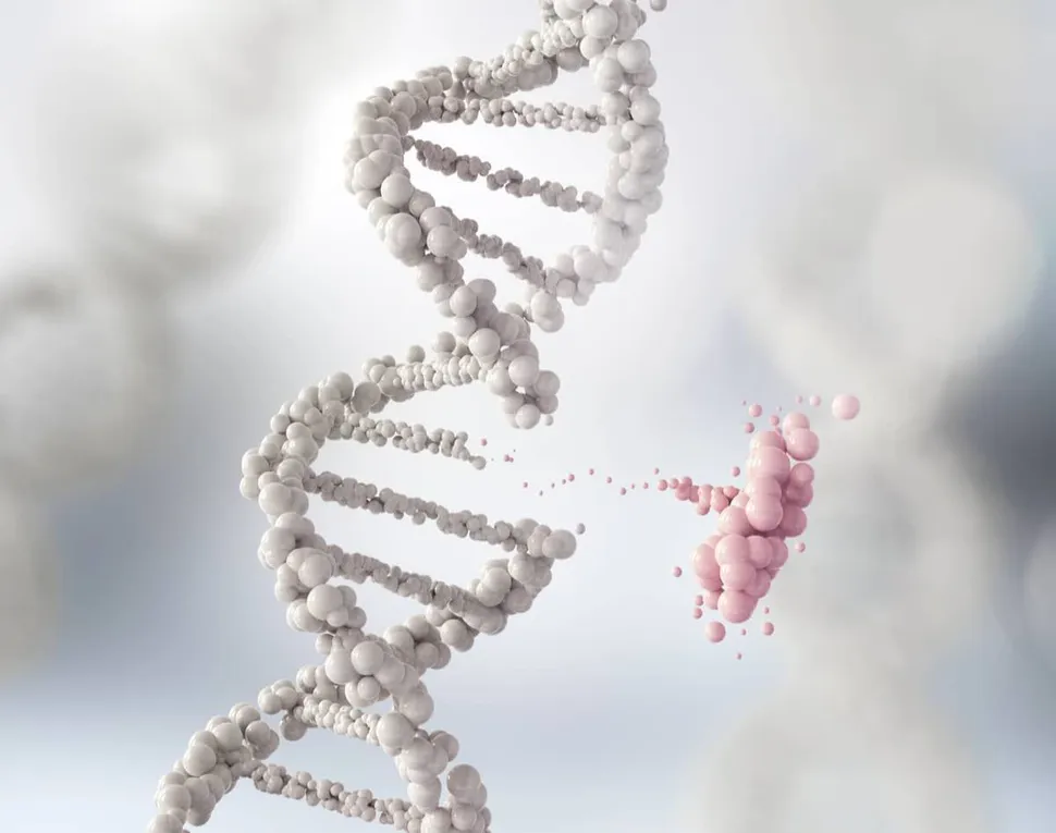 Why Some Myeloma Patients Lose the BCMA Target After BCMA-Directed Therapy image