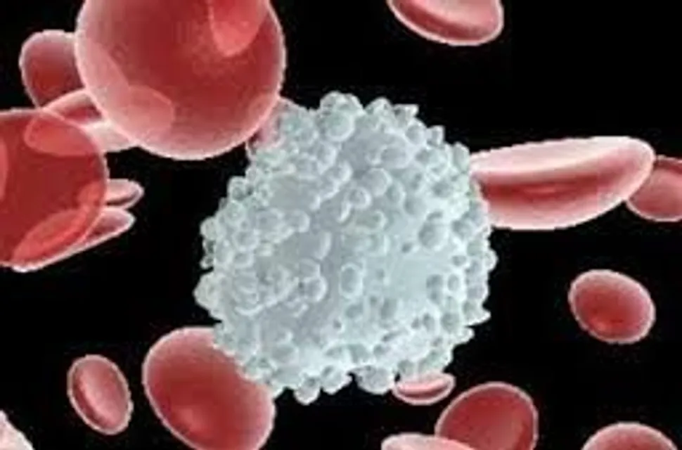 Should Newly-Diagnosed Myleoma Patients Defer Transplant? image