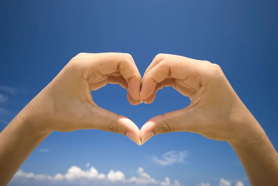 What Loss And Other Tragedies Can Teach Us About Love image