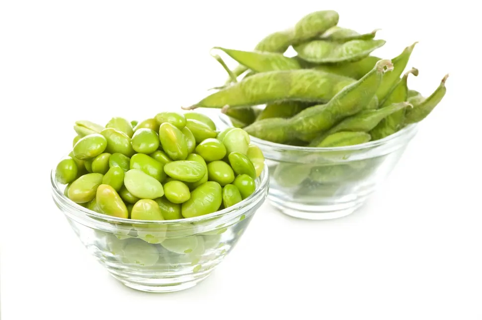 Soy Foods and Cancer Risk. Should You or Shouldn't You? image