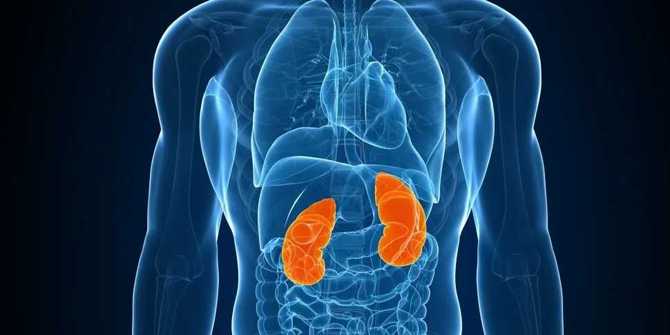 Myeloma Patients Should Monitor Their Kidney Function Early & Often image