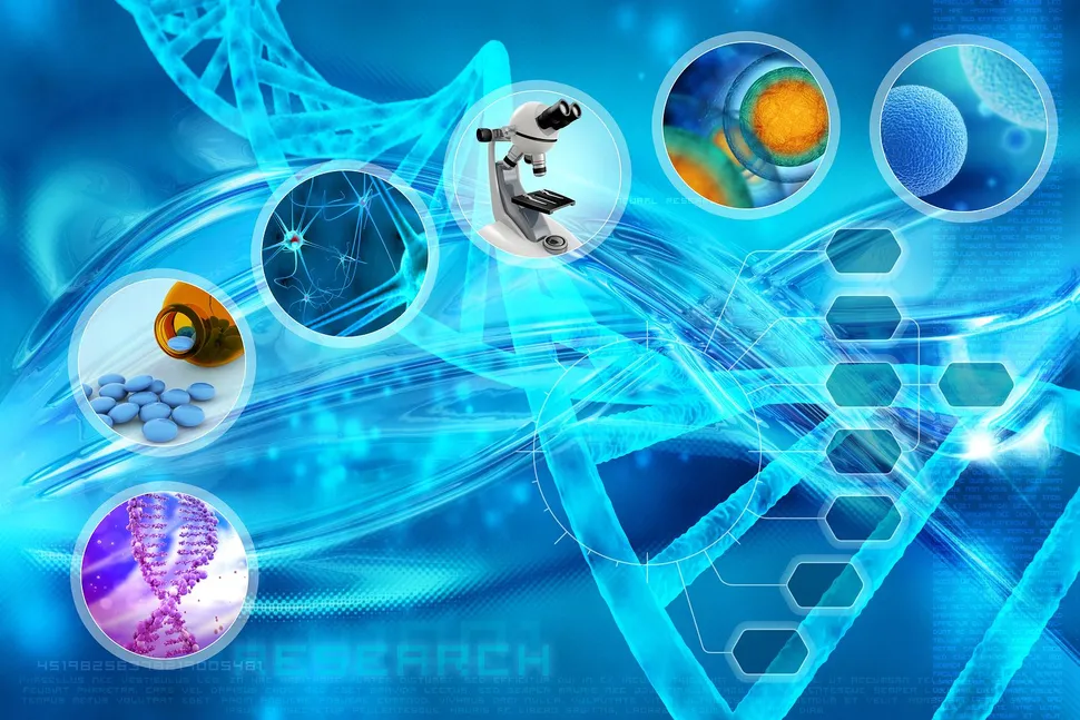 New HDAC6 Inhibitors for Treating Relapsed/Refractory Myeloma Show Activity and Lowered Side Effects image