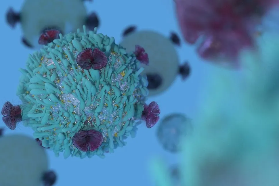 All you ever wanted to know about Immunomodulators (IMiDs) for Multiple Myeloma image