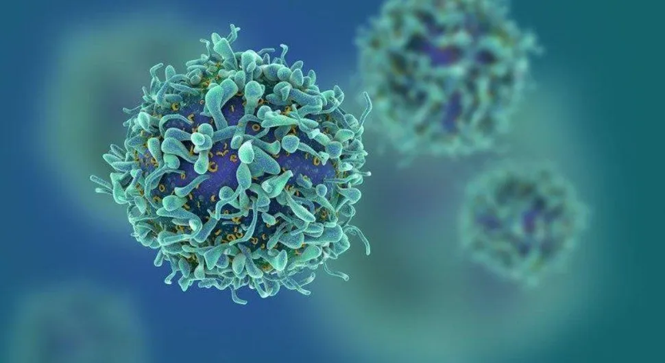 Clinical Trial: New Multiple Myeloma BCMA CAR T Cell Trial from Poseida Therapeutics Opens at Sarah Cannon and MD Anderson image