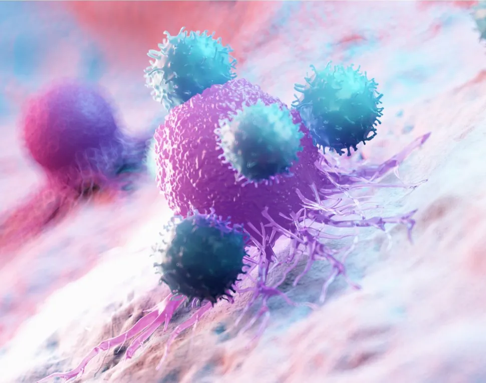 Natural Killer Cells to Fight Multiple Myeloma image