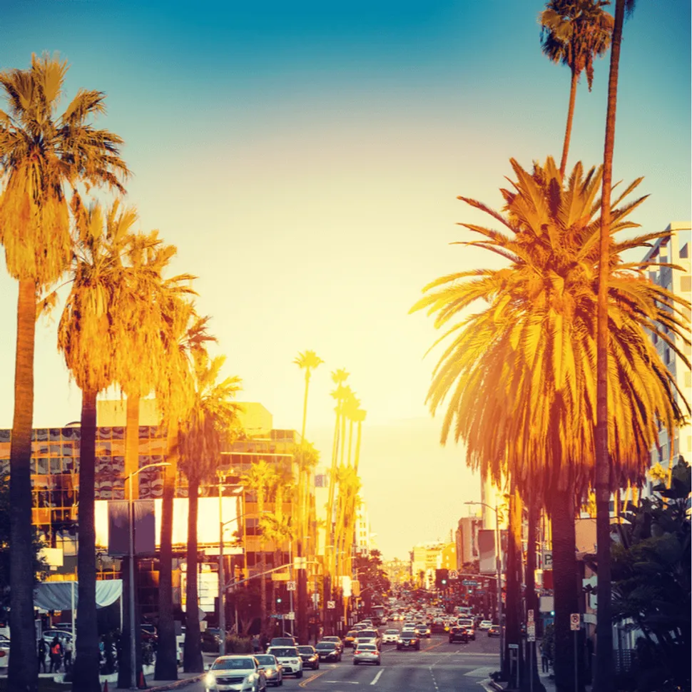 SoCal Myeloma Community Chapter: Unleashing the Power of HealthTree Cure Hub image